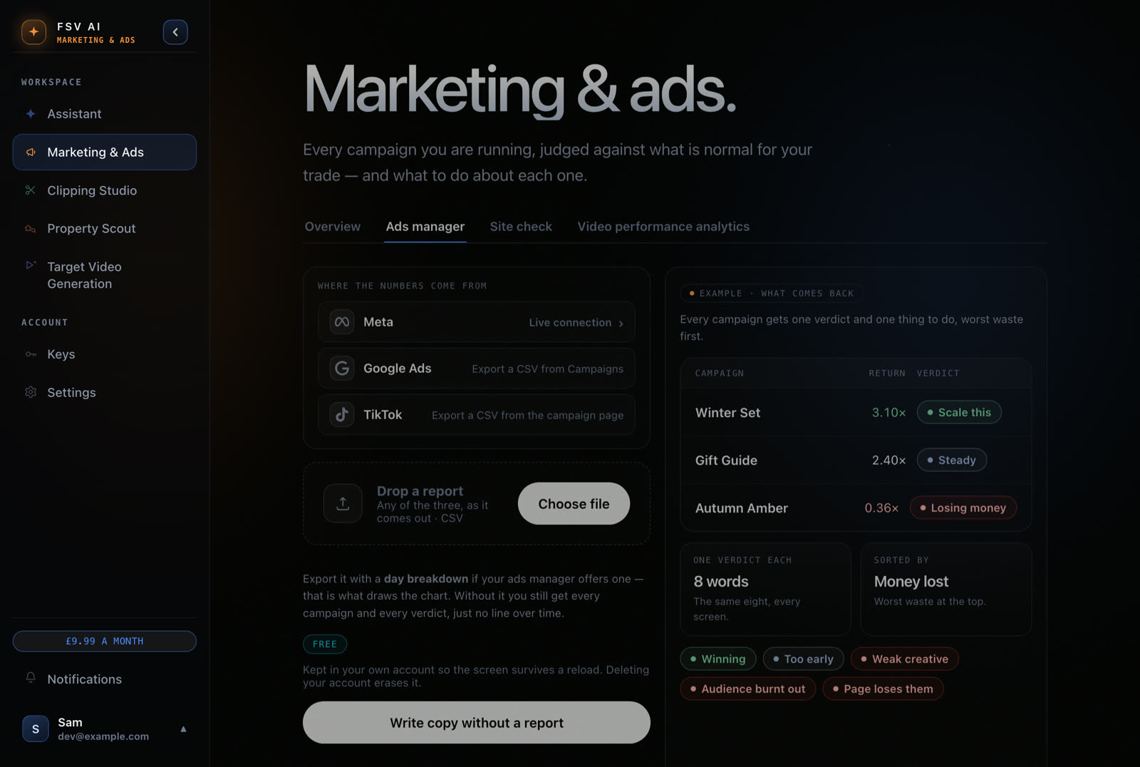 Marketing in FSV AI